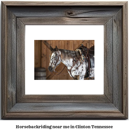 horseback riding near me in Clinton, Tennessee